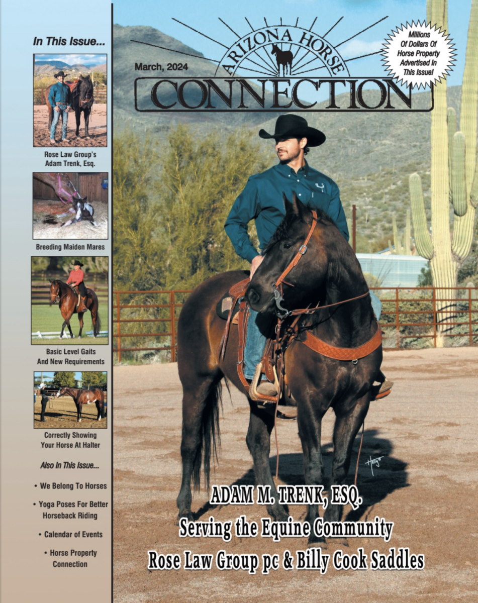 Adam Trenk, Rose Law Group partner and director of equine law practice